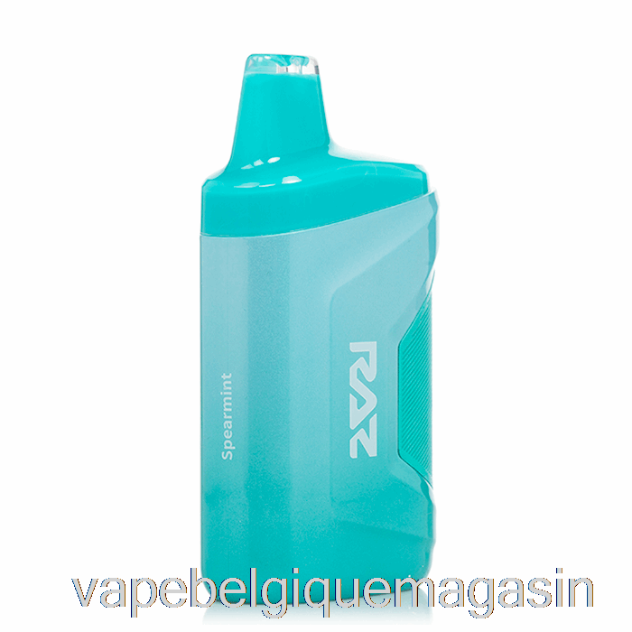 Vape Shop Bruxelles Raz Ca6000 6000 Menthe Verte Jetable